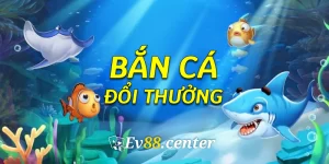 bancadoithuong3